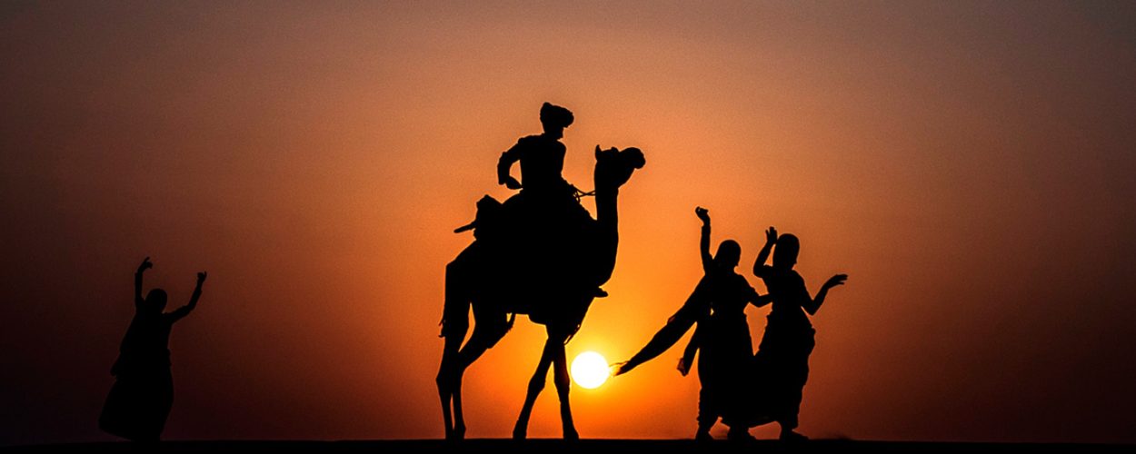 Camel Safari